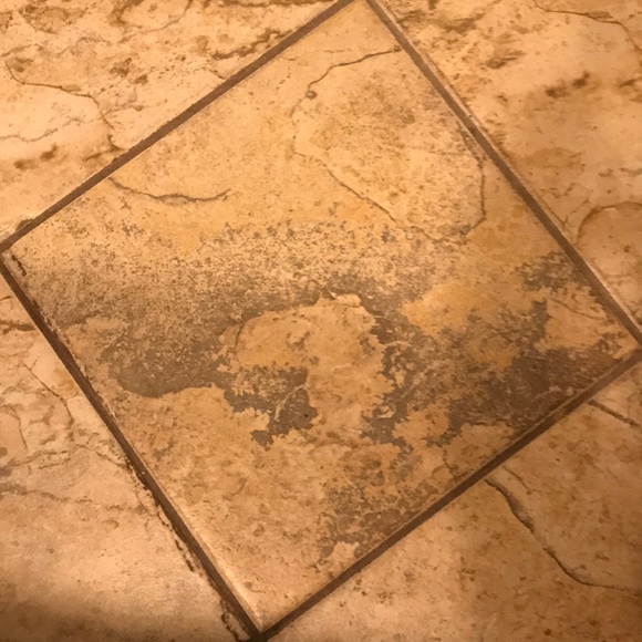 Meet your Posher, Phoebe - Picture 1 of 1